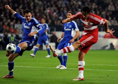 制了浙江队 制了浙江队