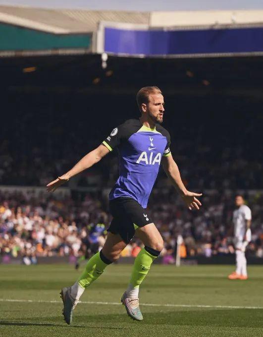 中国前金花 中国前金花